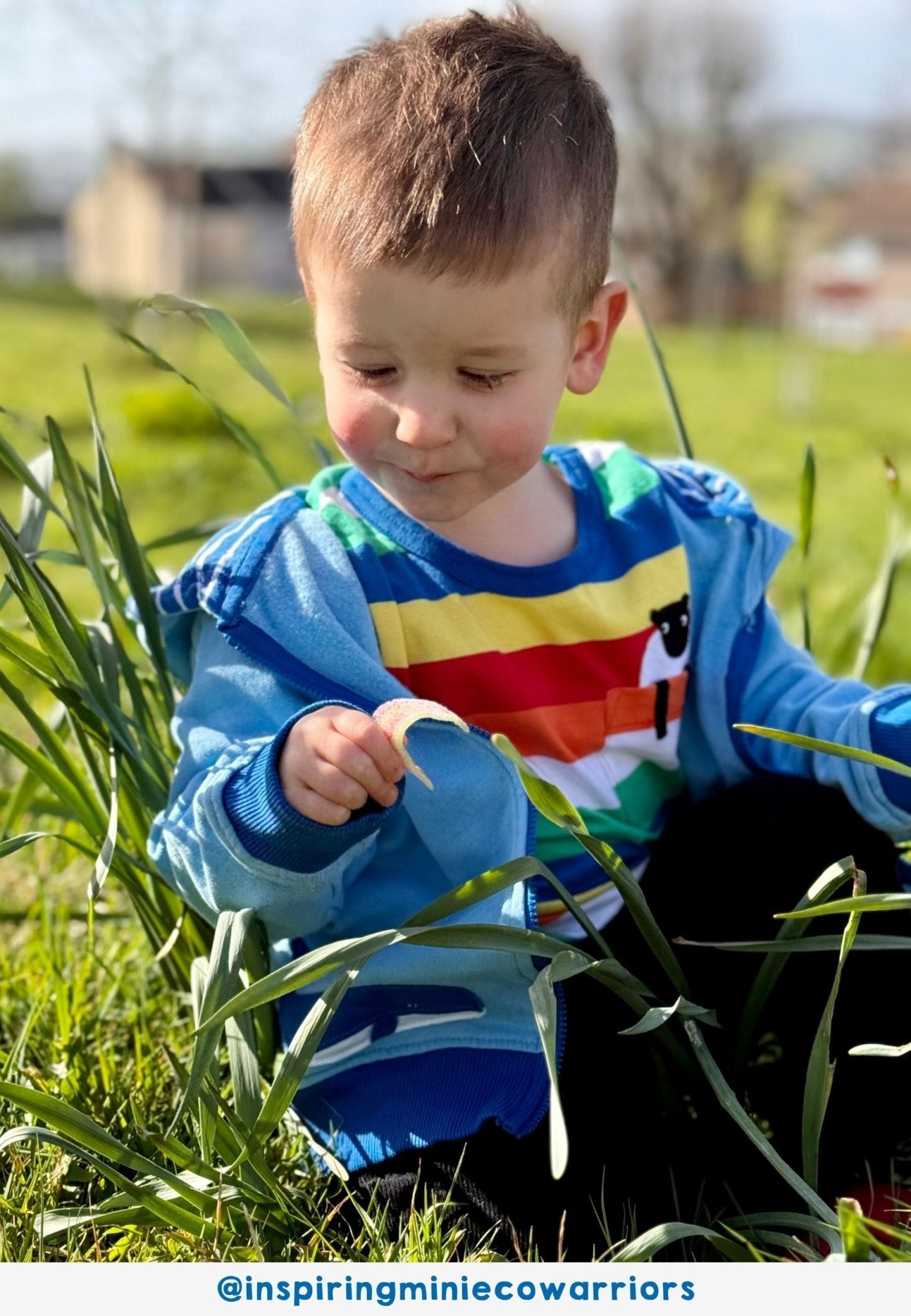 Bio - Baumwoll Kinder Shirt kurzarm mit Regenbogenstreifen und Brusttasche mit Schaf - Applikation - Toby Tiger GmbH