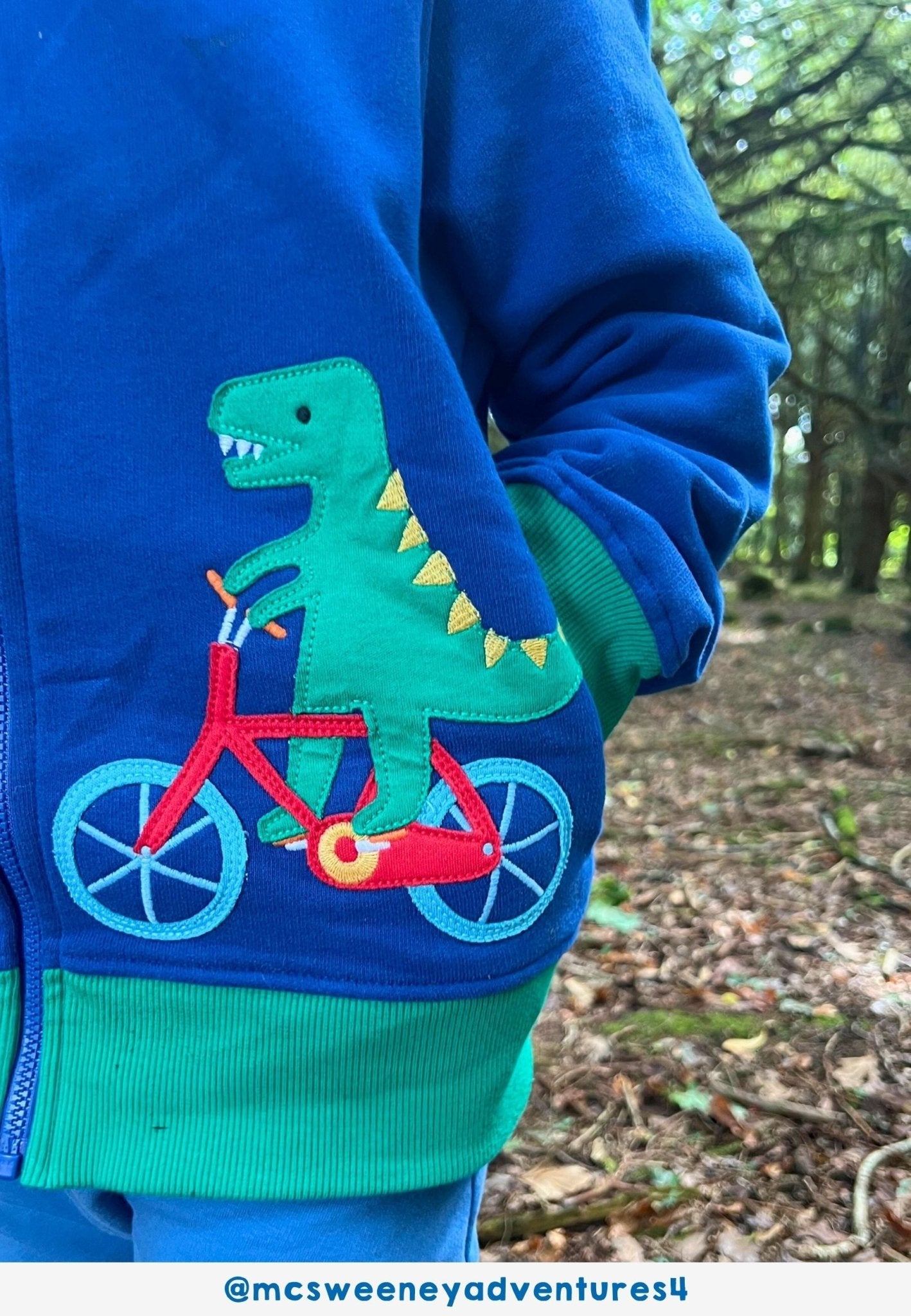 Bio - Baumwoll Kinder Sweatjacke mit Kapuze und mit Dinosaurier - Applikation - Toby Tiger GmbH