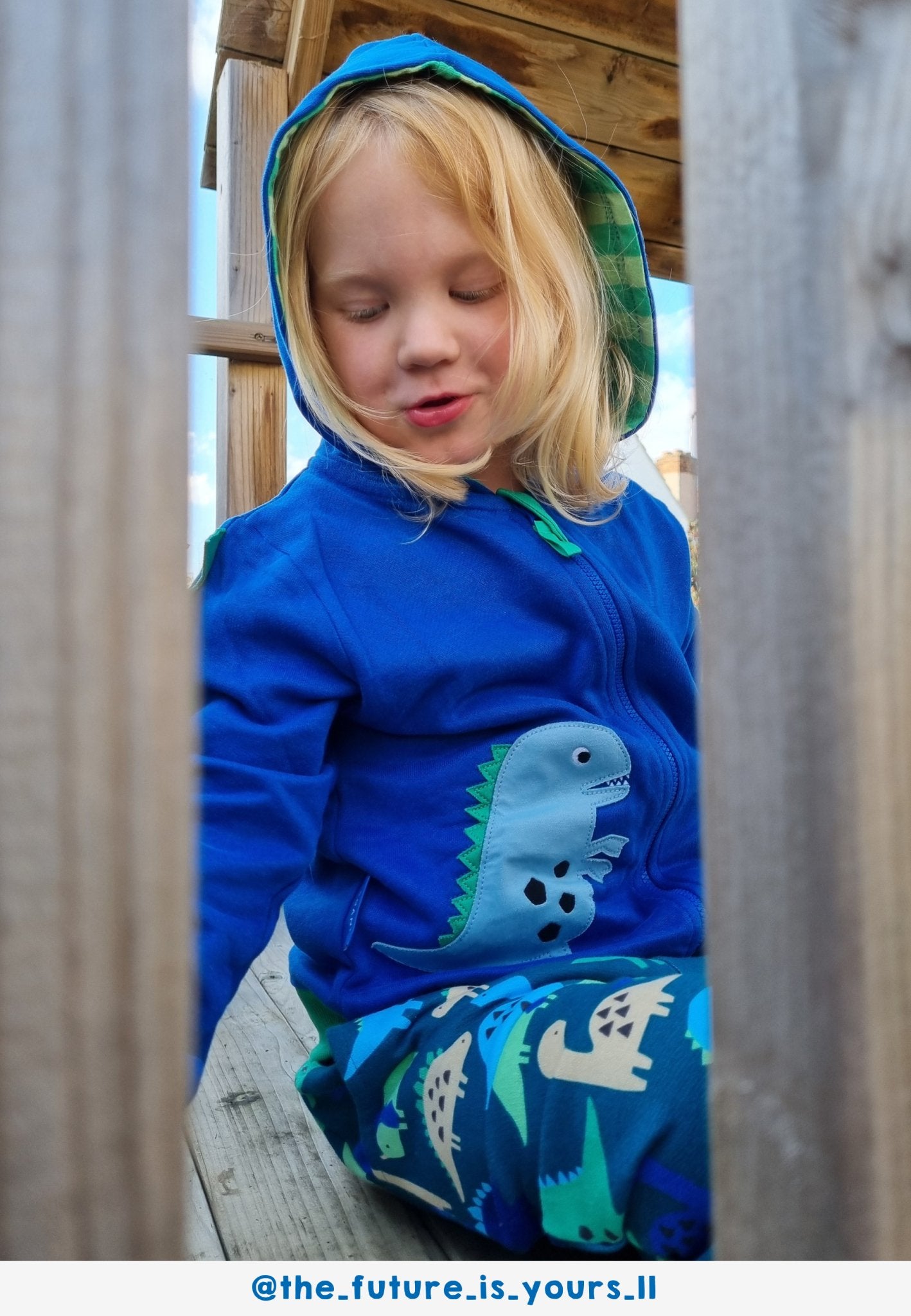 Bio - Baumwoll Kinder Sweatjacke mit Kapuze und mit Dinosaurier - Applikation - Toby Tiger GmbH