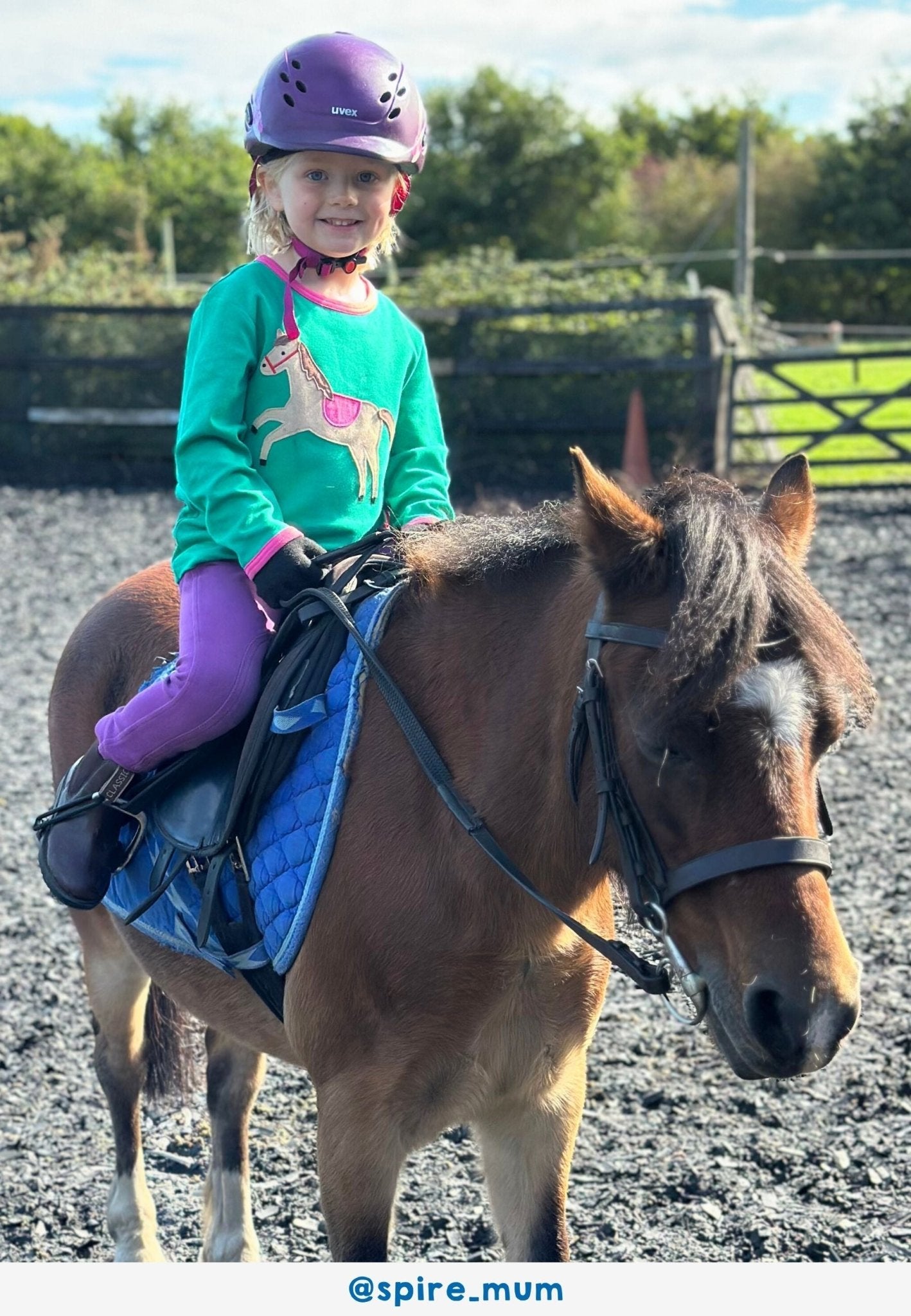 Bio - Baumwoll Kinder Langarmshirt, Grün mit Pferde - Applikation - Toby Tiger GmbH