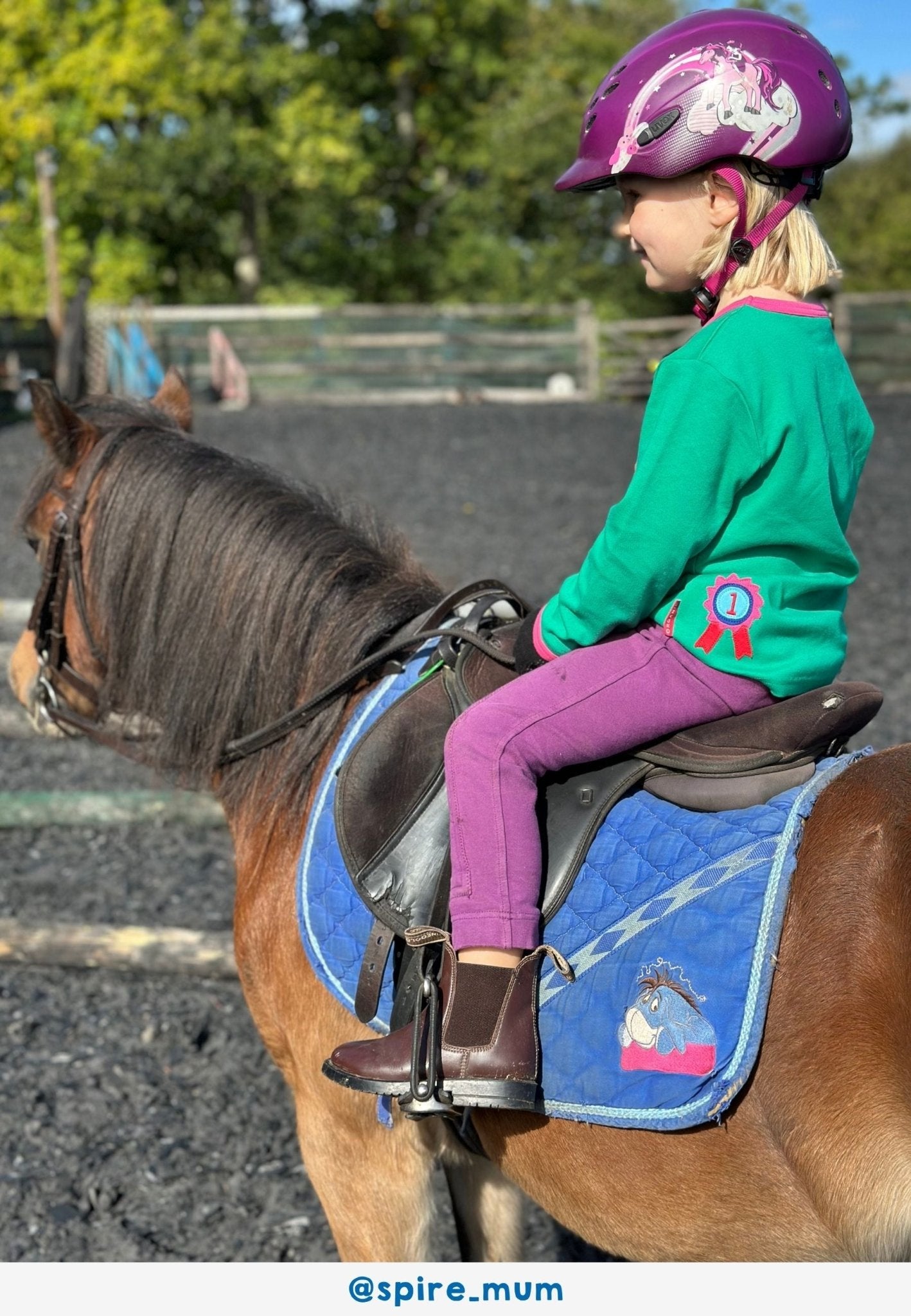 Bio - Baumwoll Kinder Langarmshirt, Grün mit Pferde - Applikation - Toby Tiger GmbH