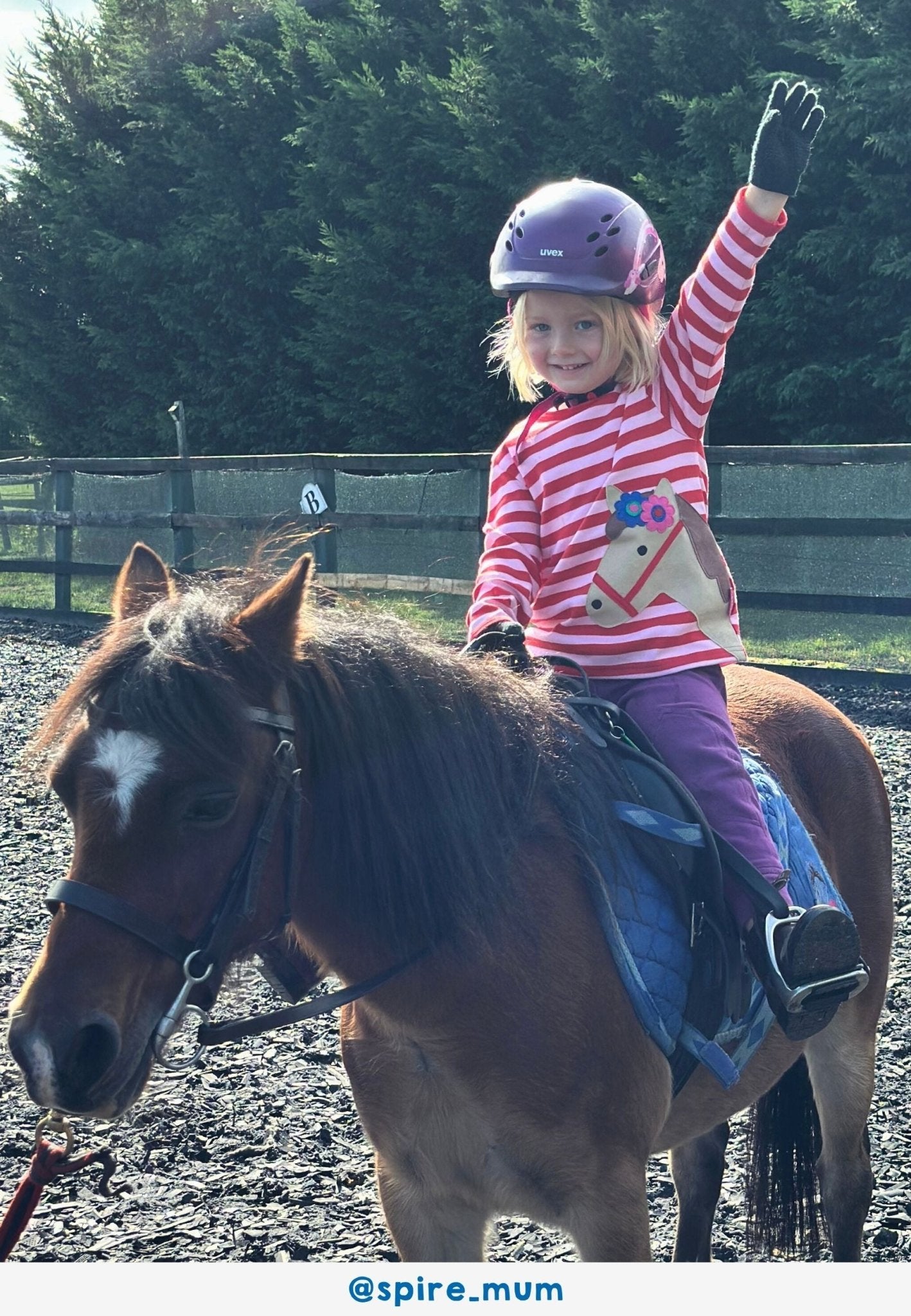 Bio - Baumwoll Kinder Langarmshirt, gestreift mit Pferdekopf - Applikation - Toby Tiger GmbH