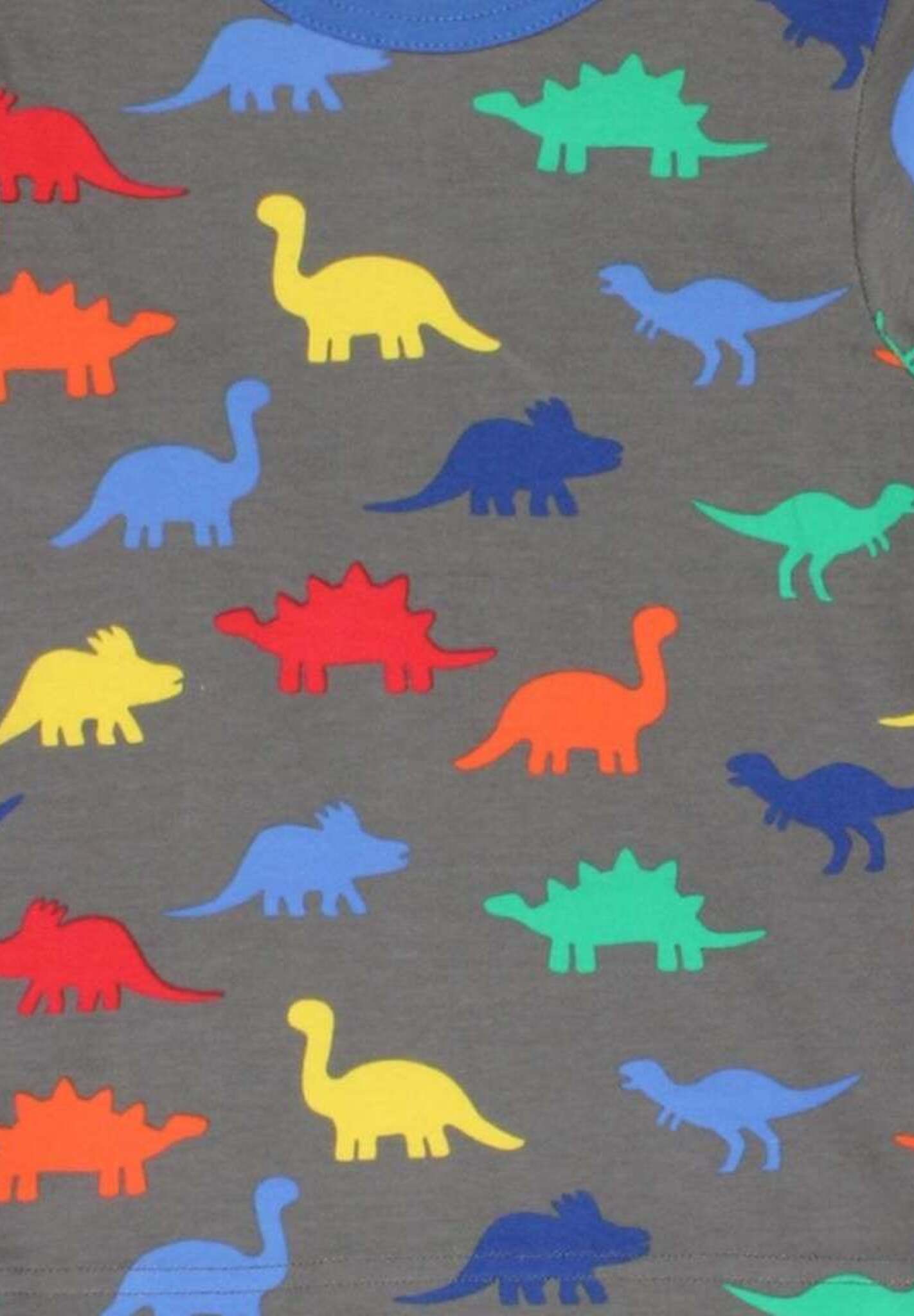 Langarmshirt aus Bio Baumwolle mit Dino Print - Toby Tiger GmbH