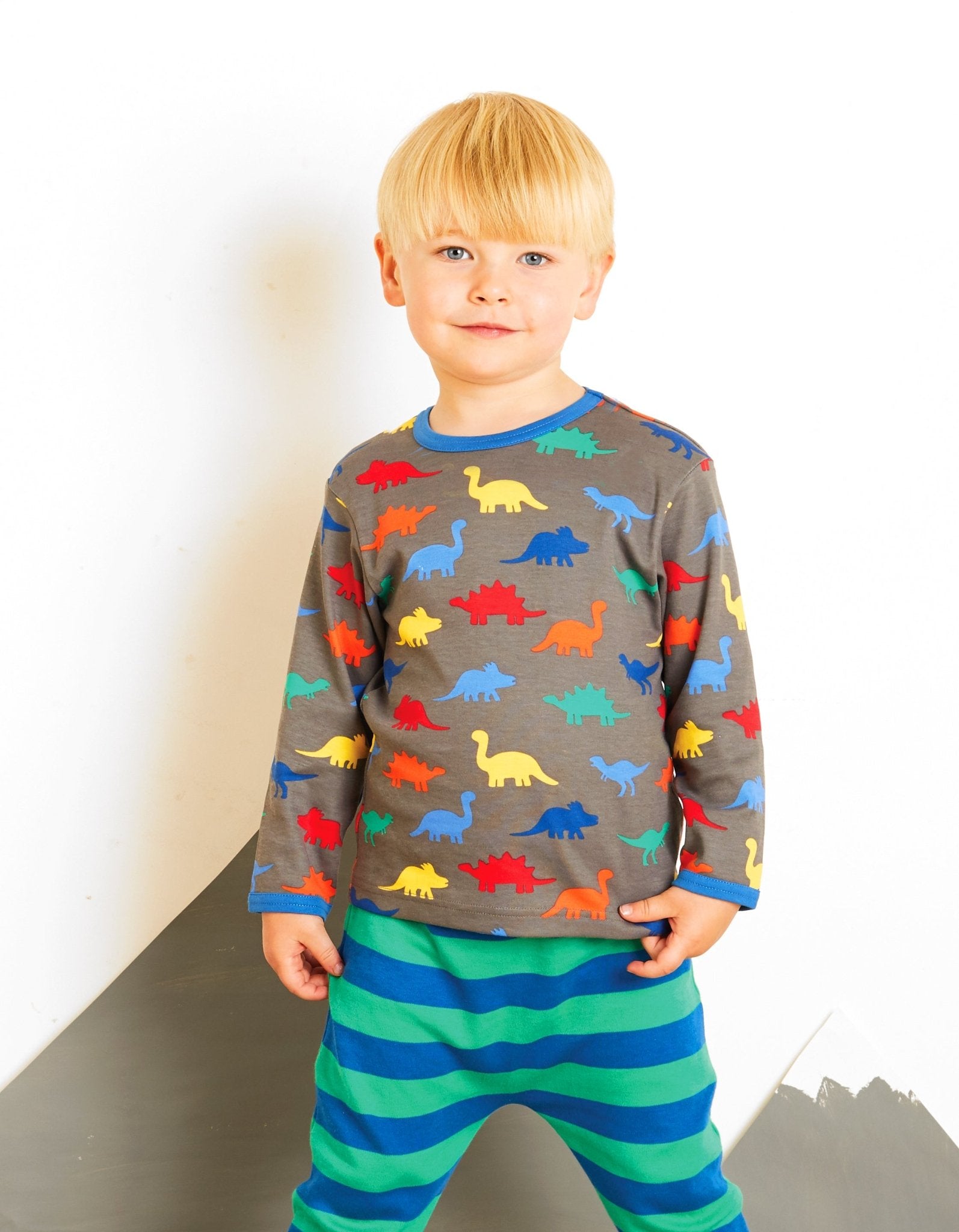 Langarmshirt aus Bio Baumwolle mit Dino Print - Toby Tiger GmbH Retail