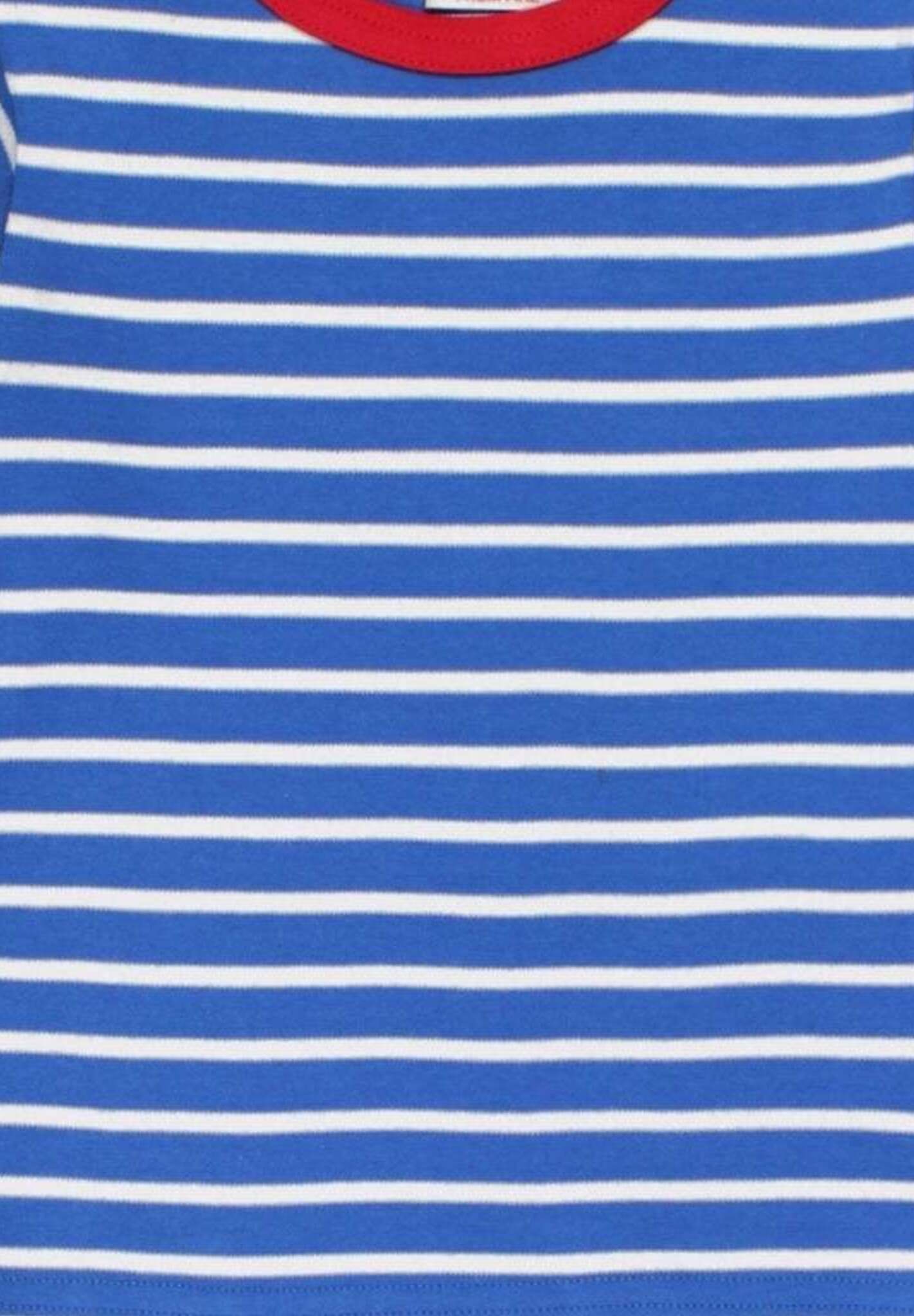 Langarmshirt aus Bio Baumwolle, blau weiß gestreift - Toby Tiger GmbH