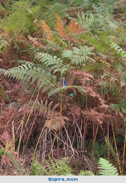 Bio-Baumwoll Kinder Langarmshirt mit Bären-Applikation