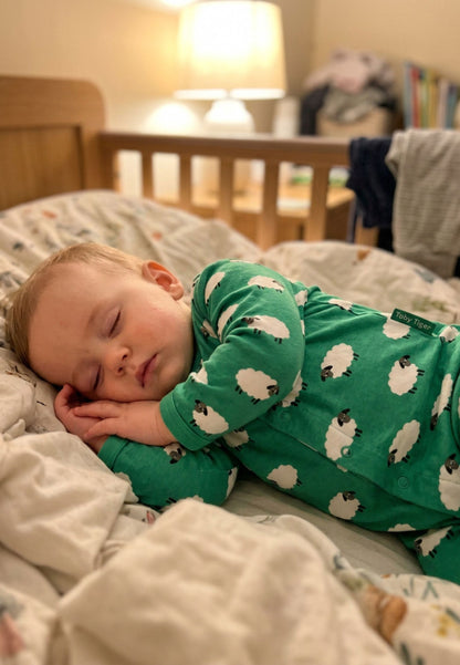 Organic Cotton One-Piece Baby Sleepsuit with Sheep Print
