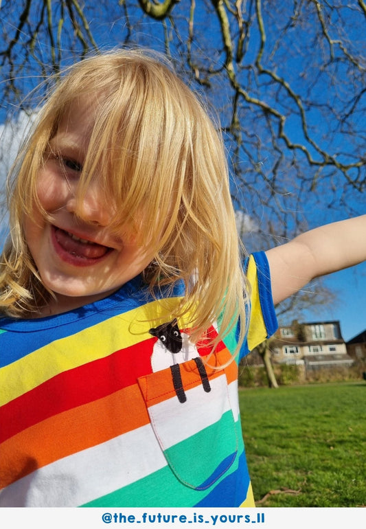 Bio - Baumwoll Kinder Shirt kurzarm mit Regenbogenstreifen und Brusttasche mit Schaf - Applikation - Toby Tiger GmbH
