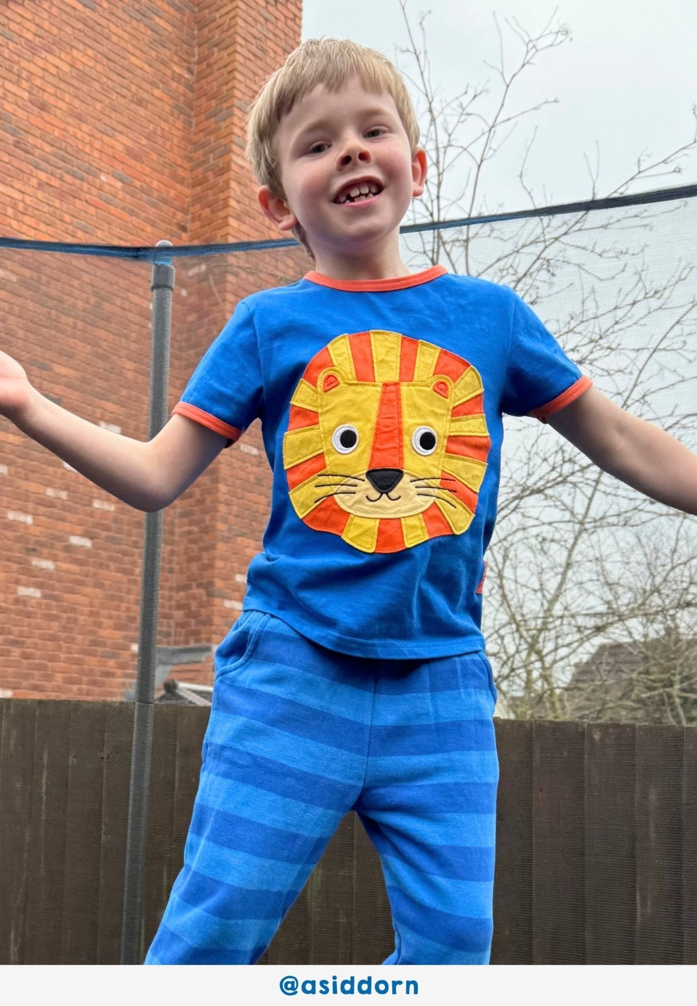 Bio - Baumwoll Kinder Shirt kurzarm mit Löwen - Applikation - Toby Tiger GmbH