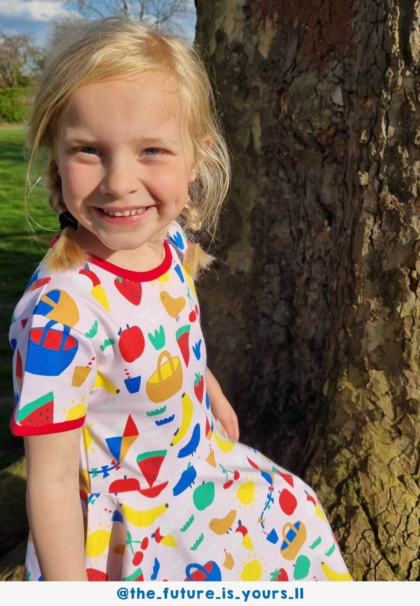 Bio - Baumwoll Kinder Skaterkleid kurzarm mit Picknick - Druck - Toby Tiger GmbH