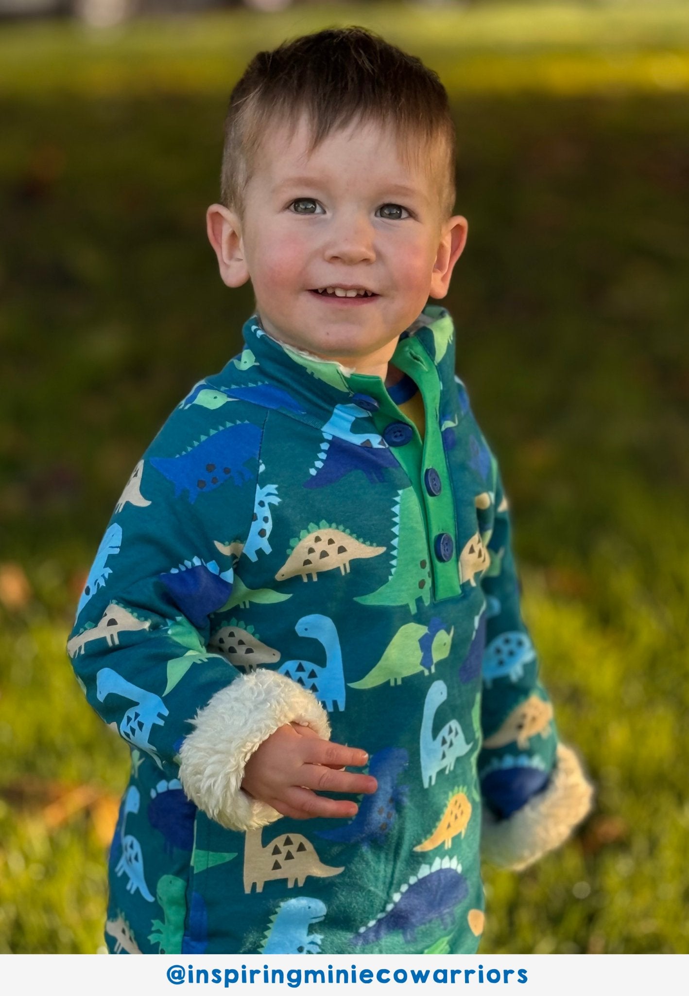 Bio - Baumwoll Kinder Fleece Sweatshirt mit Dinosaurier Ton - in - Ton Druck - Toby Tiger GmbH