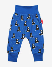 Load image into Gallery viewer, Organic cotton &quot;Yoga Pants&quot; with dog print
